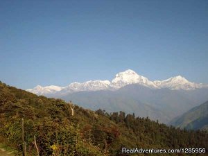 Ghorepani Poon Hill Trek | Kathmandu Nepal, Nepal | Hiking & Trekking