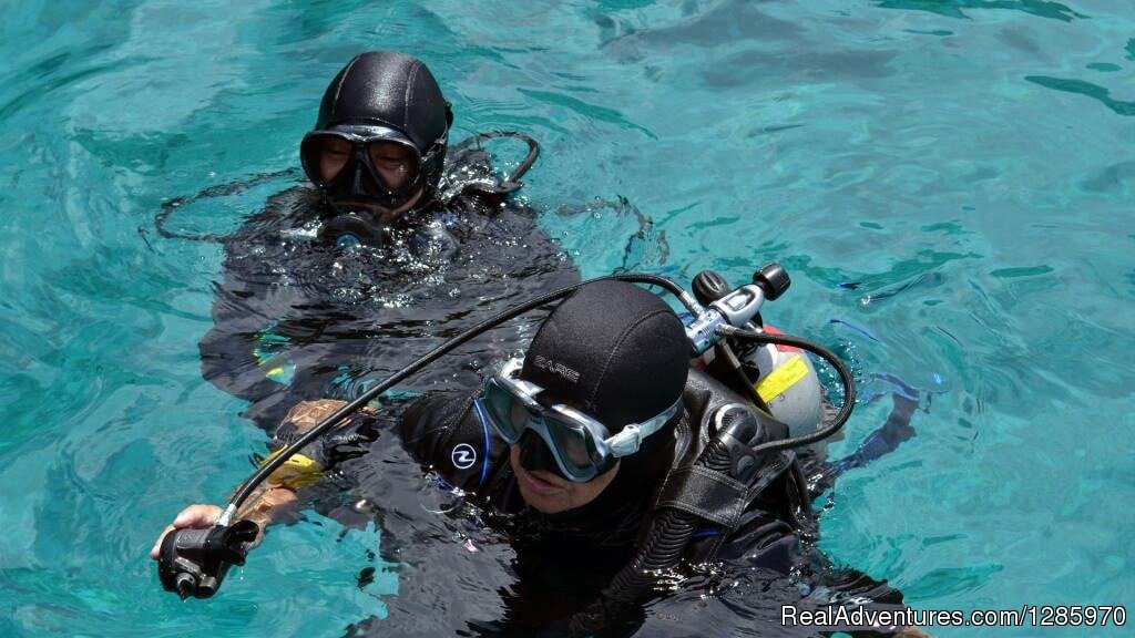 Easy Diving Around Phuket | Scuba Diving In Phuket With The Local Experts | Image #12/16 | 