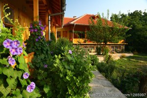 Pelican Birding Lodge/ Accommodation & Wildlife | Vetren, Bulgaria | Bed & Breakfasts