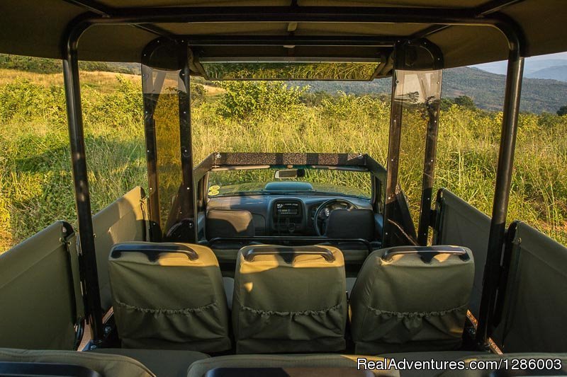 Private Kruger Park Open Vehicle Safaris | Image #6/16 | 