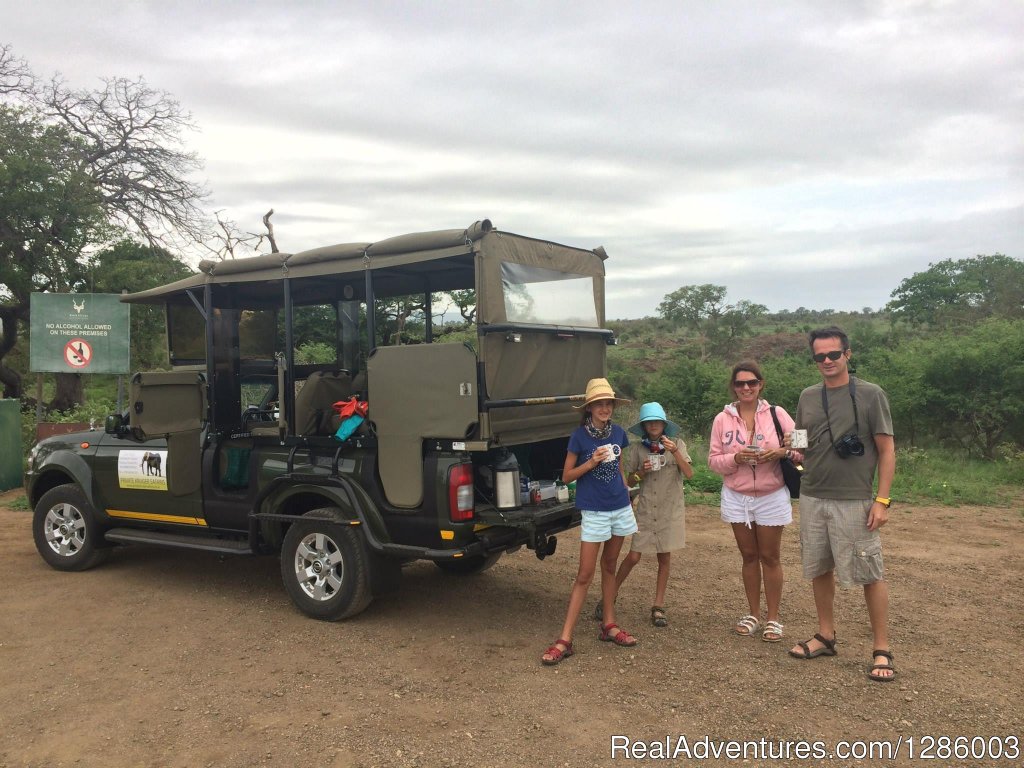Large Male Lions Of Kruger Park Seen On Safari | Private Kruger Park Open Vehicle Safaris | Image #7/16 | 