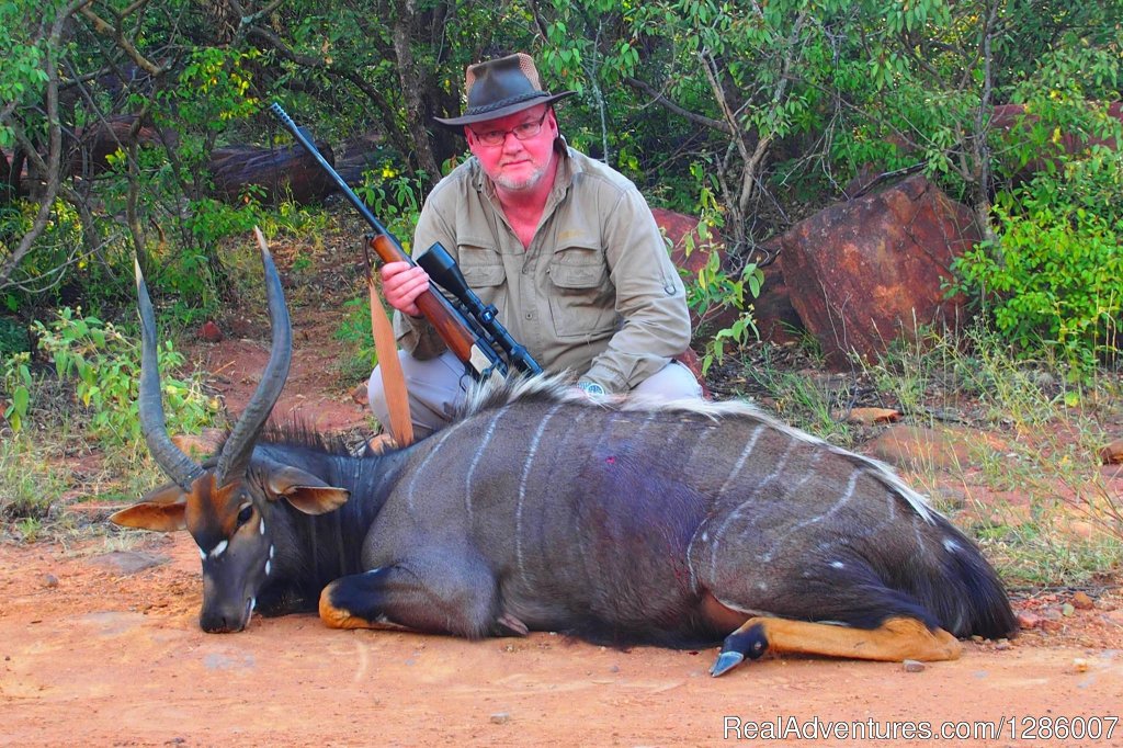 Sable Hunting | Arc Africa Hunting Safaris | Strathavon, South Africa | Hunting Trips | Image #1/2 | 