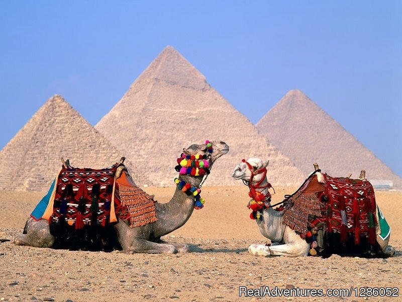 Wonder Of The World | Egypt Tours & Travel | Cairo, Egypt | Sight-Seeing Tours | Image #1/6 | 