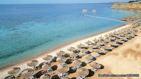 Sharm El Sheikh | Egypt Tours & Travel | Image #6/6 | 