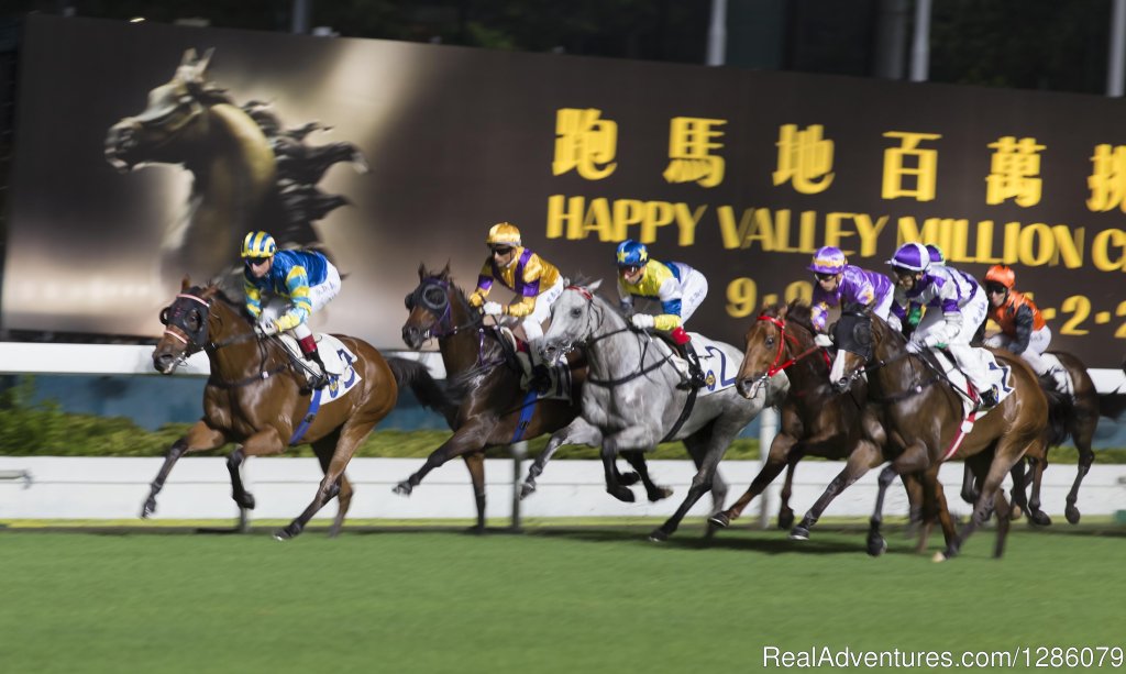 Horseracing tour | Check Inn HK | Image #18/25 | 