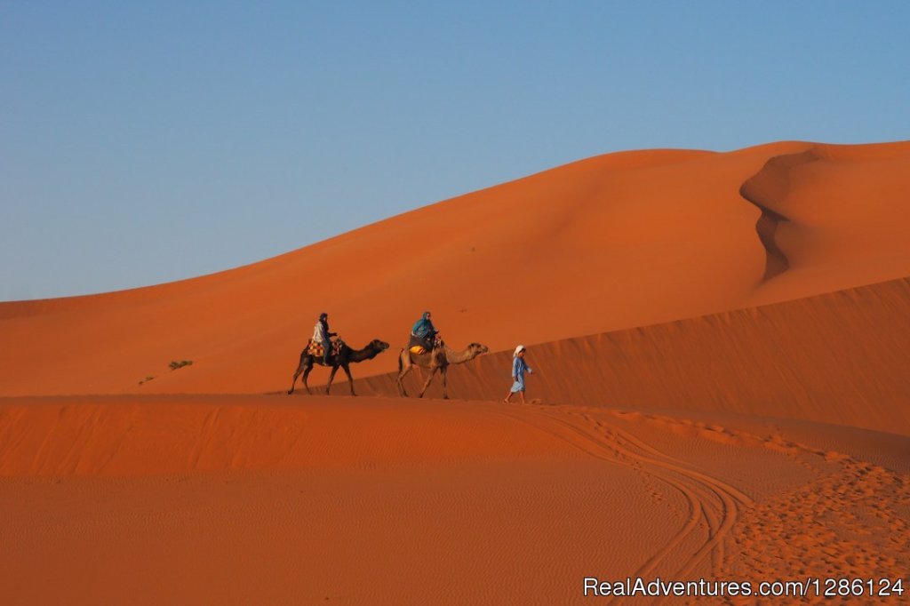 Golden dunes Merzouga Morocco | Explore Morocco Trekking | Image #2/3 | 