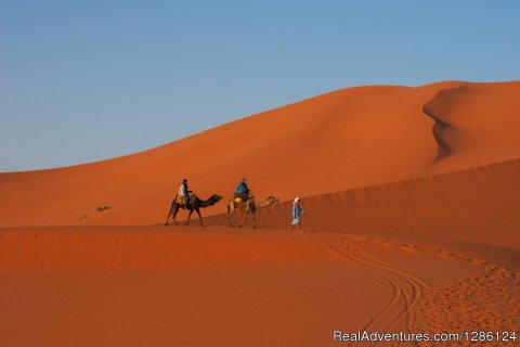 Golden dunes Merzouga Morocco