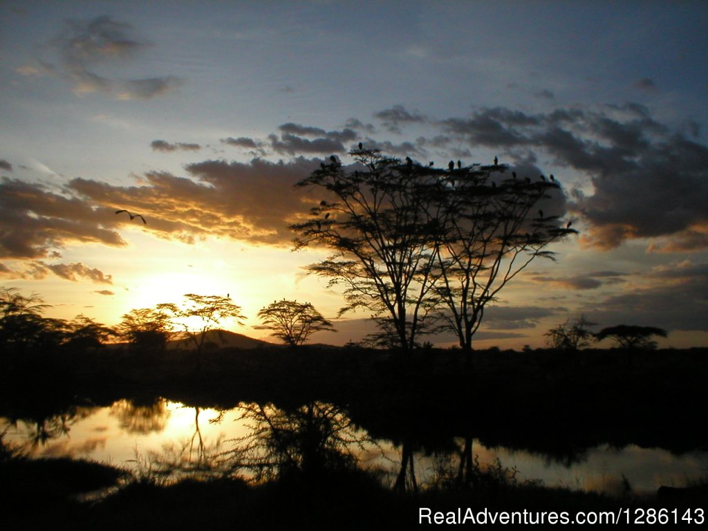 Sunrise in the Serengeti | Safari, Maasai Development Project | Image #3/13 | 
