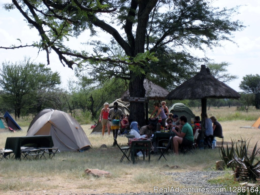 Tanzania Camping Safari | 5 Days Tanzania lodge Safari | Image #5/7 | 