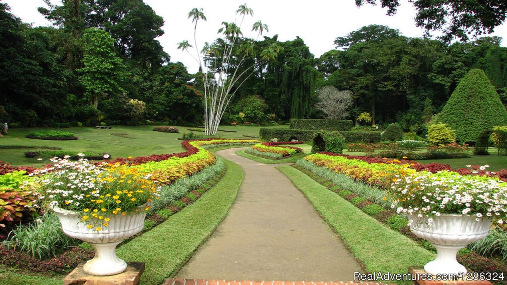 Royal Botanical Garden Peradeniya | Sri Lanka Round Island Tours | Image #4/6 | 