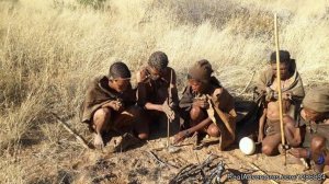 San/Bushmen/Kalahari Wild Experience