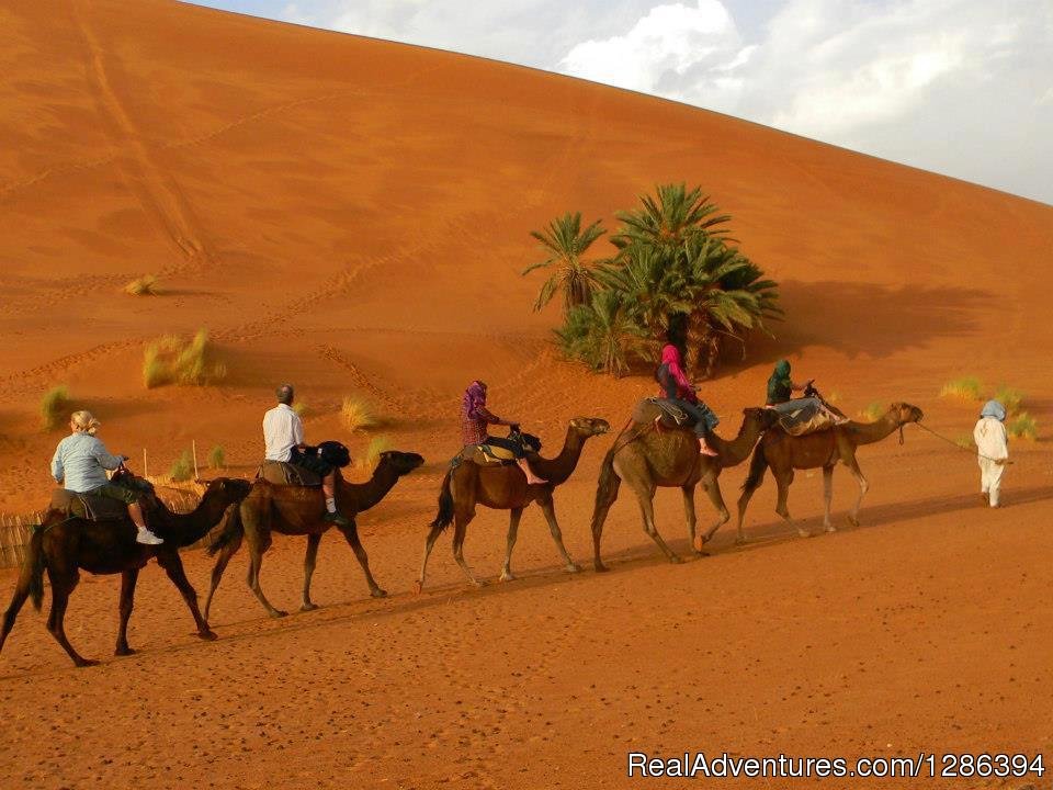 Camel Trekking Morocco | Camel Tours Morocco | Marakech, Morocco | Sight-Seeing Tours | Image #1/26 | 