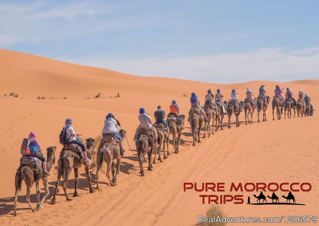Off-roads In Merzouga Desert | 3 Days From Fes To Marrakech By Desert | Image #2/3 | 