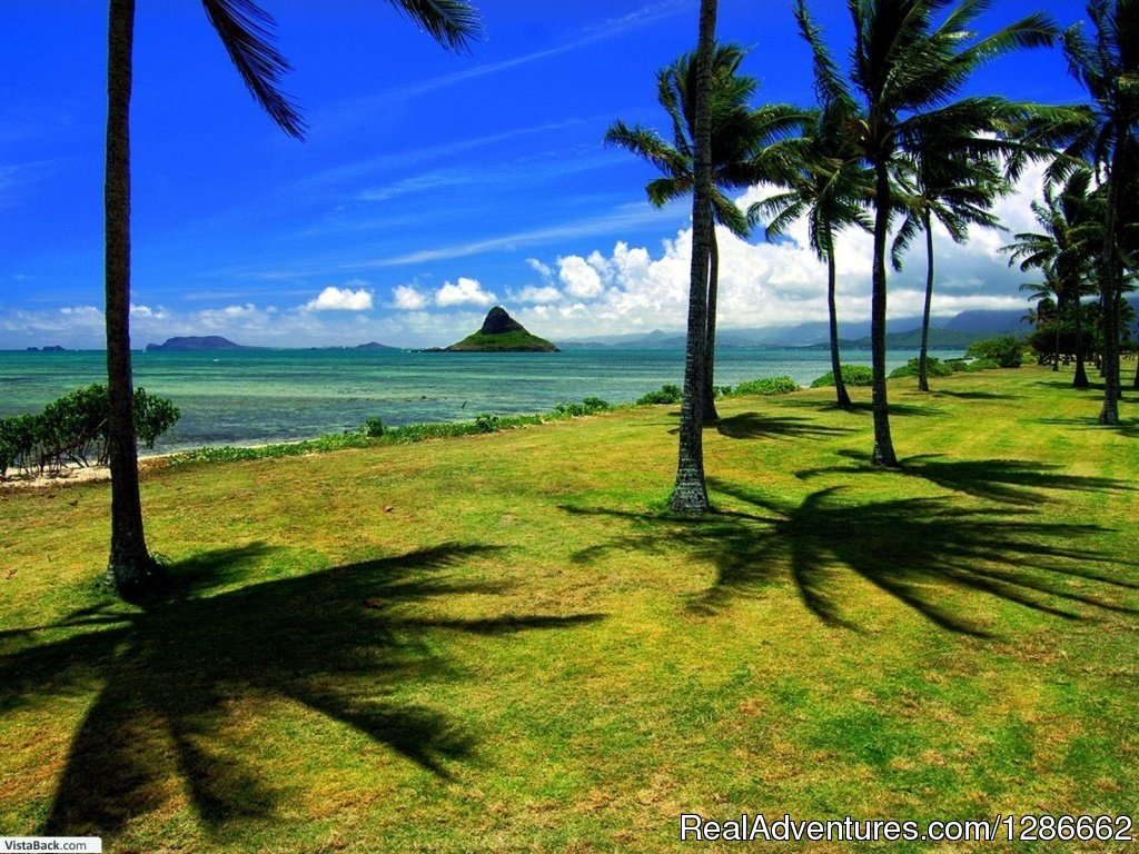 Vacation Rental Grand Bay, Mauritius | Image #19/24 | 