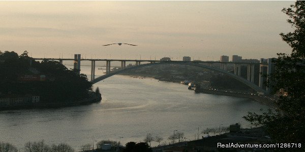 Bridge | Porto Tours | Porto, Portugal | Sight-Seeing Tours | Image #1/4 | 