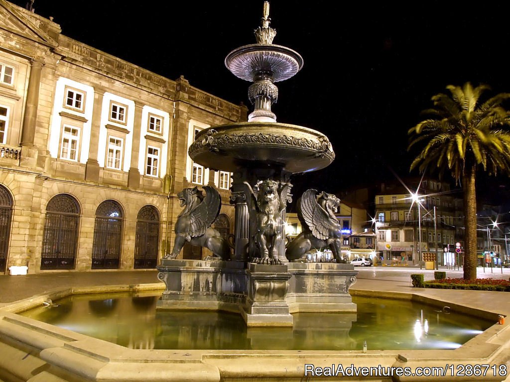 Lions fountain | Porto Tours | Image #2/4 | 