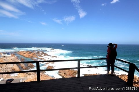 South Cape Expeditions - Mossel Bay Point