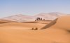 Desert Star Travel | Marakech, Morocco