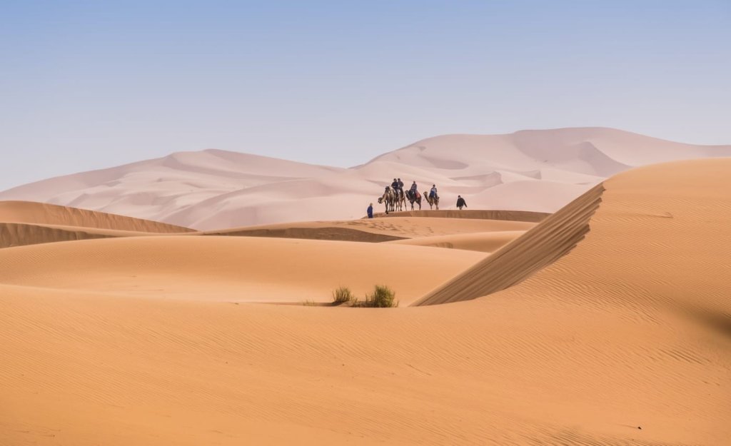 Desert Star Travel | Marakech, Morocco | Wildlife & Safari Tours | Image #1/3 | 