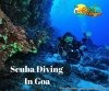 Scuba Diving in Goa | Goa, India