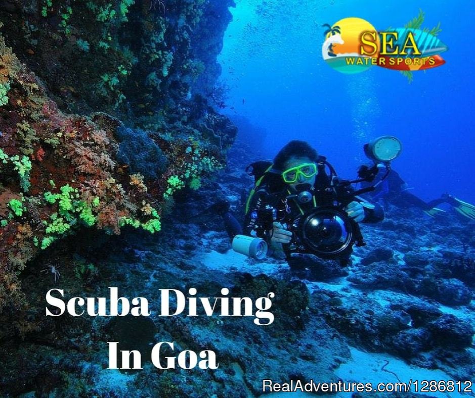 Scuba Diving in Goa | Goa, India | Scuba Diving & Snorkeling | Image #1/1 | 
