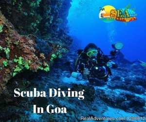 Scuba Diving in Goa | Goa, India | Scuba Diving & Snorkeling