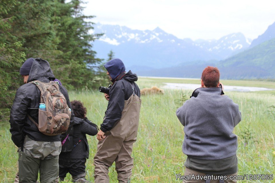 Bear Viewing in Alaska | Bear Viewing In Alaska | Image #6/8 | 