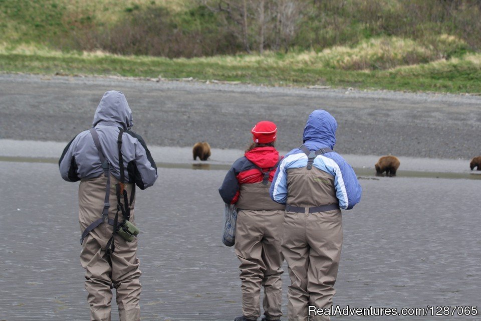 Bear Viewing in Alaska | Bear Viewing In Alaska | Image #7/8 | 