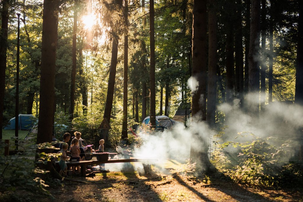 Chill Out & Bbq Common Places | Forest Camping Mozirje | Image #19/29 | 