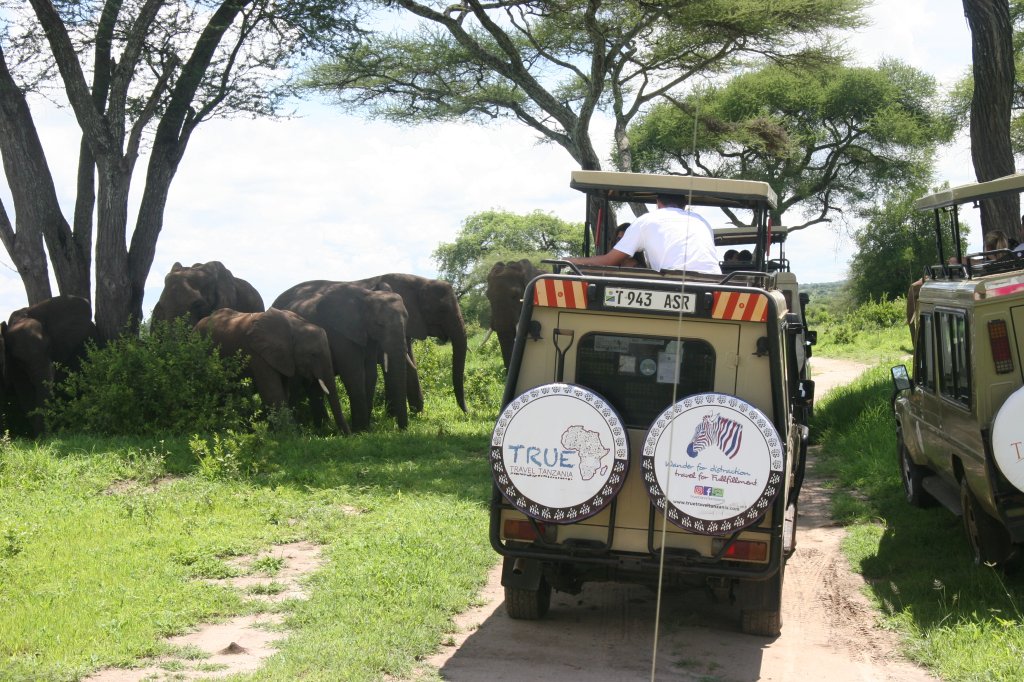 Budget Safaris | 5 Days Budget Safari | Arusha, Tanzania | Eco Tours | Image #1/2 | 