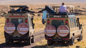 4 Days Tanzania Lodge Safari | Kilimanjaro, Tanzania | Wildlife & Safari Tours