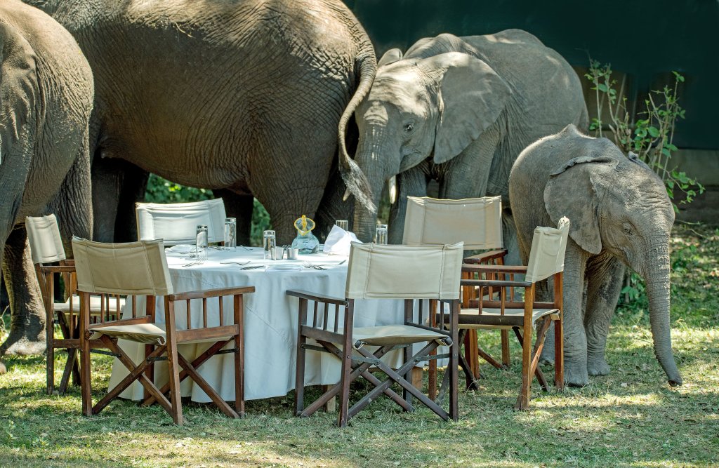 Picnic Lunch | Tours And Safaris To East Africa | Nairobi, Kenya | Tourism Center | Image #1/16 | 