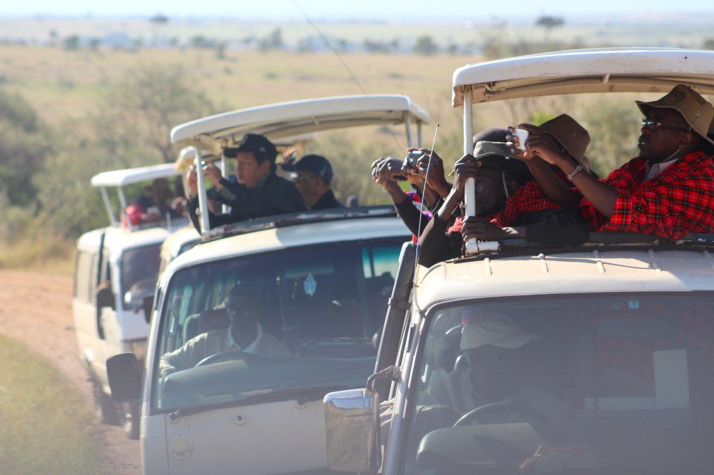 Game Drive | Tours And Safaris To East Africa | Image #7/16 | 