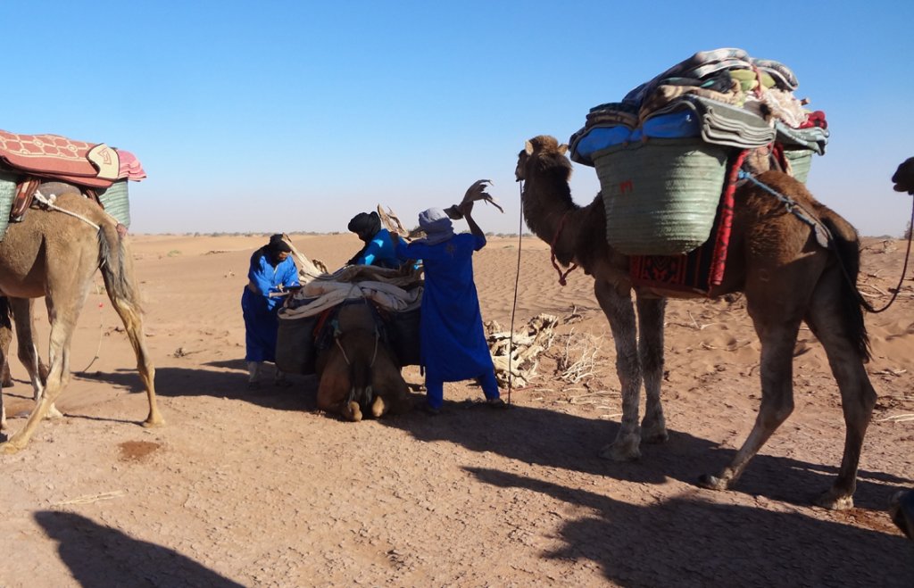 Private Morocco Camel Trek Tour | Desert ViE Travel | Image #14/15 | 