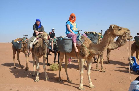 Camel Trek In The Sahara Desert