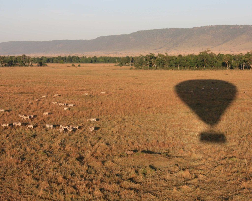 Masai Mara Safari | Image #26/29 | 