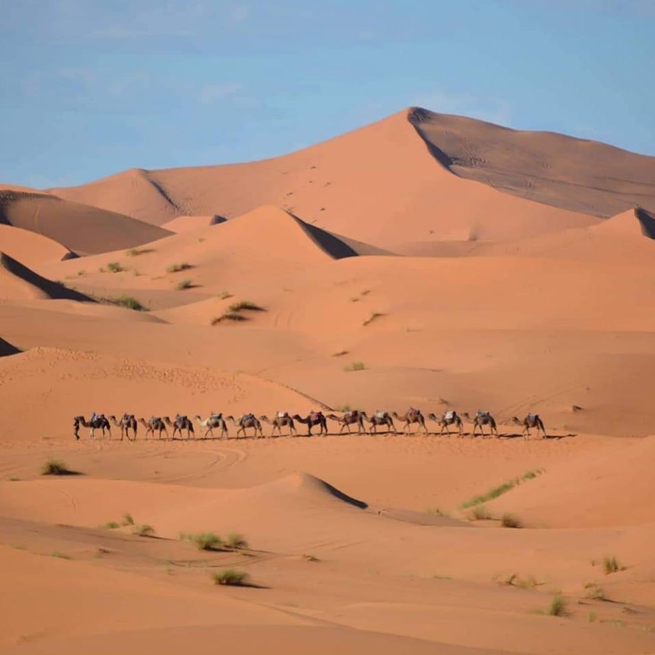 Sahara Magic Private Morocco Tours | Image #2/2 | 