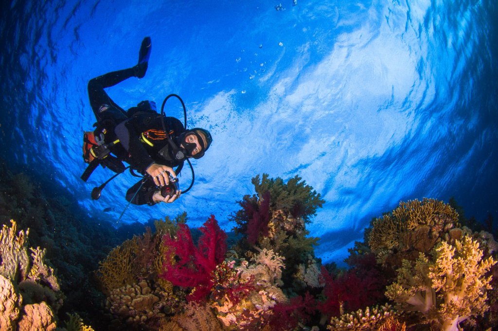 Learn to Dive in Dahab | Image #4/4 | 