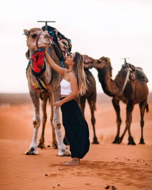 Camel Ride Marrakech Safari Rose | Marakech, Morocco | Camel Riding