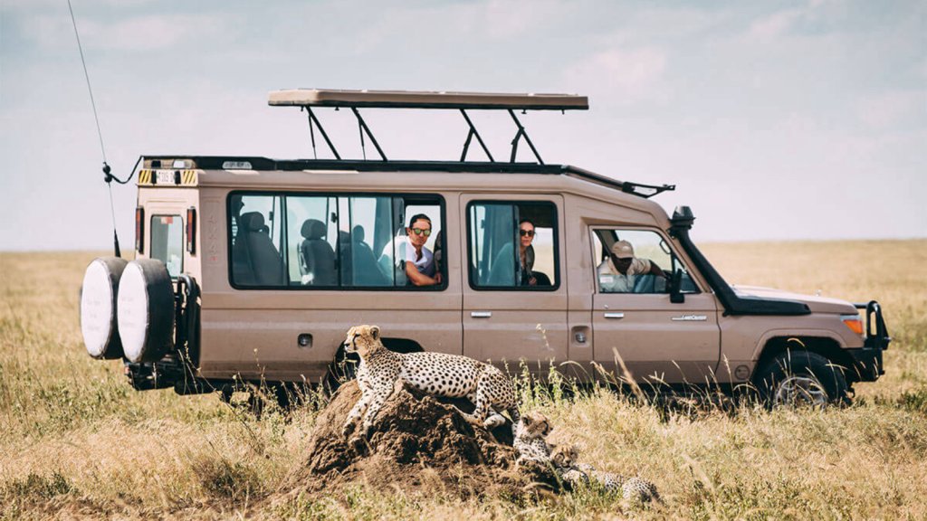 Tanzania Tour Safari - Tanzania Safari Specialist | 5 Days Safari Tours in Northern Tanzania | Image #2/8 | 