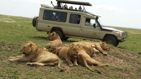 Tanzania Tour Safari - Tanzania Safari Specialist