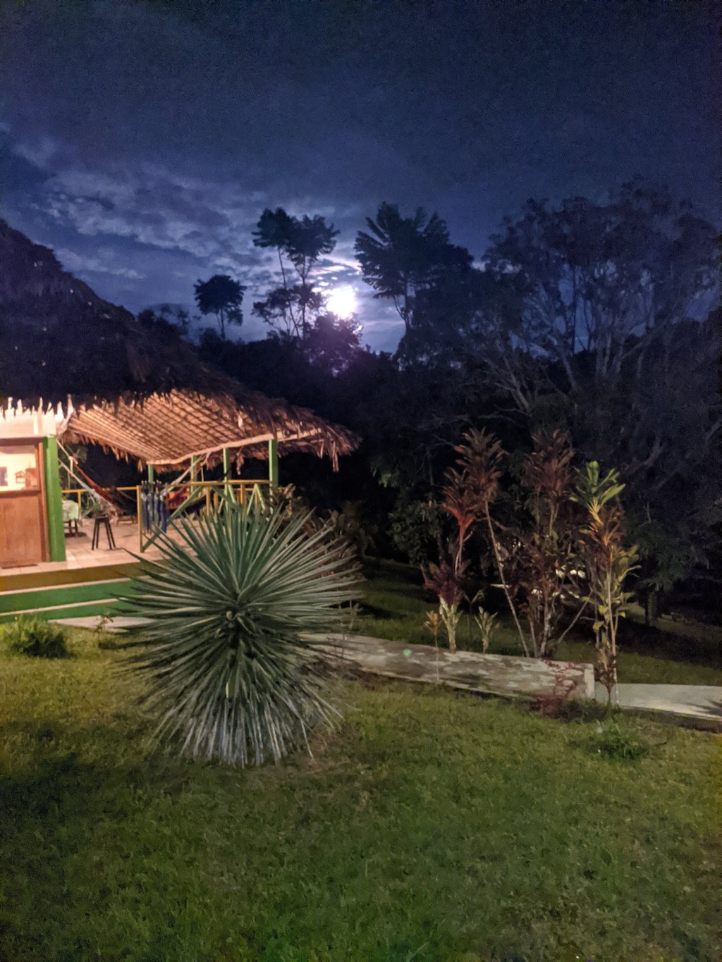 Ayahuasca Retreats at Hummingbird Center, Peru | Image #4/4 | 