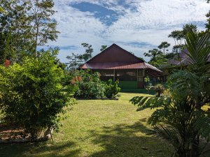 Ayahuasca Retreats at Hummingbird Center, Peru | Iquitos, Peru | Health Spas & Retreats