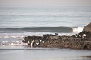 Tazerzit Guesthouse Surf and Yoga Hostel | Agadir, Morocco | Surfing
