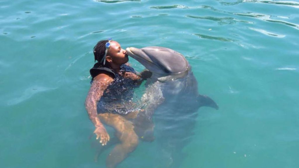 Wasini Island Dolphin Tour | Image #3/6 | 