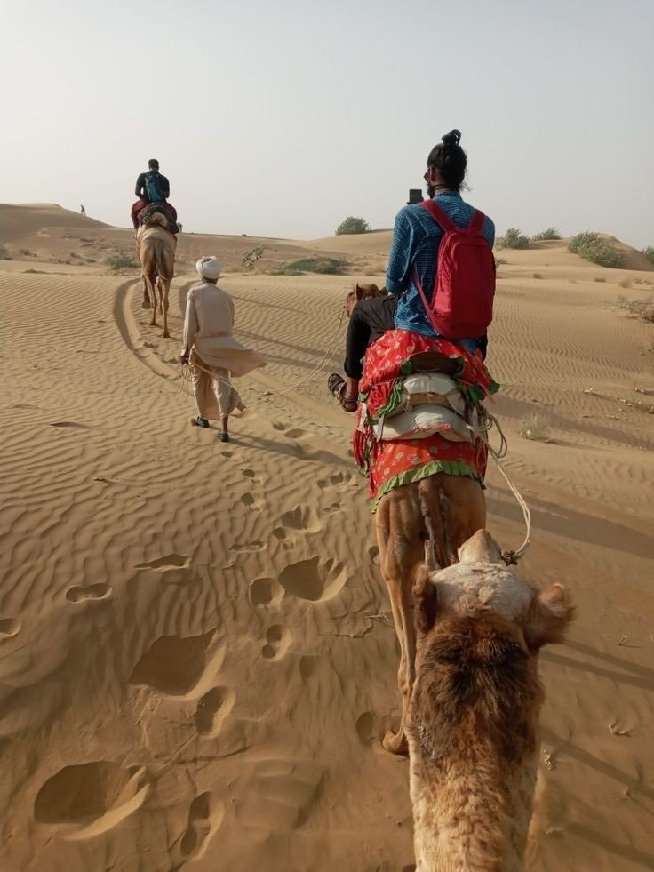 Camel Ride | Charisma Camel Safari | Image #2/5 | 