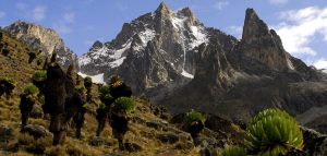 5 Days Trekking Mount Kenya - Majali Tours | Nairobi Kenya, Kenya | Tourism Center