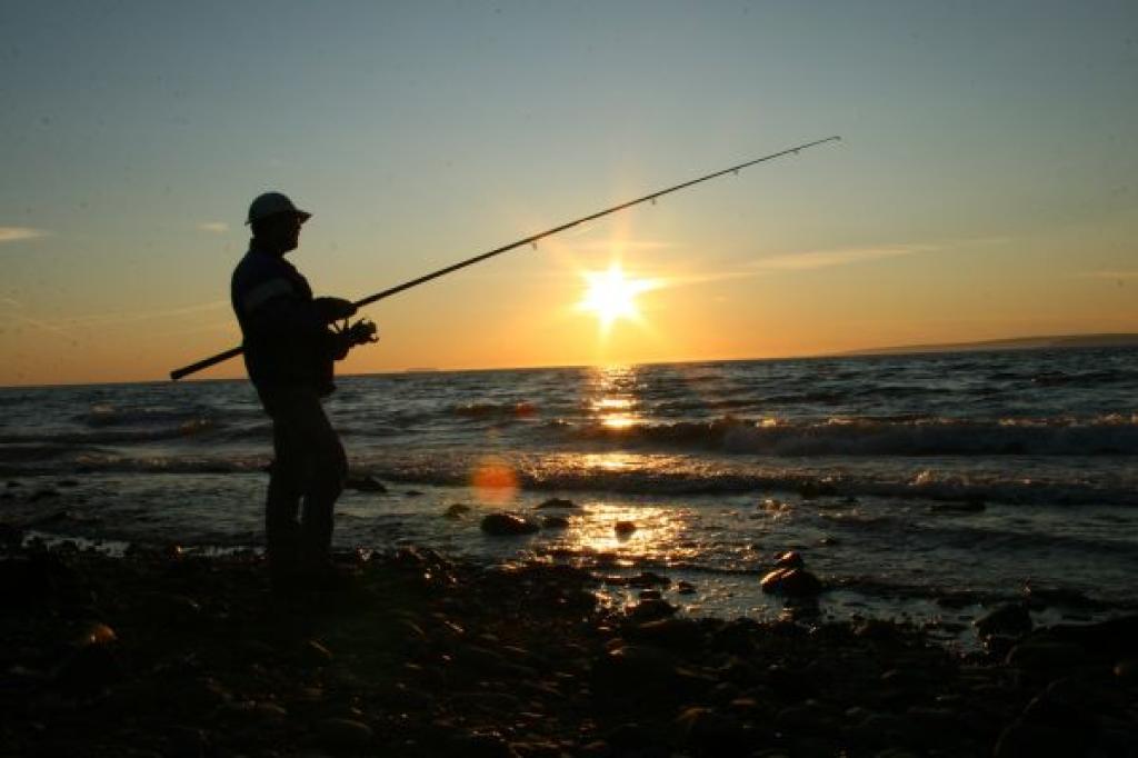 Fishing Trips in South Central, Alaska