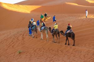 Camel Trekking in Merzouga MOROCCO | Merzouga, Morocco | Camel Riding