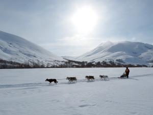 Mahoosuc Guide Service | Newry, Maine Dog Sledding | Snow & Ski Vacations South Portland, Maine